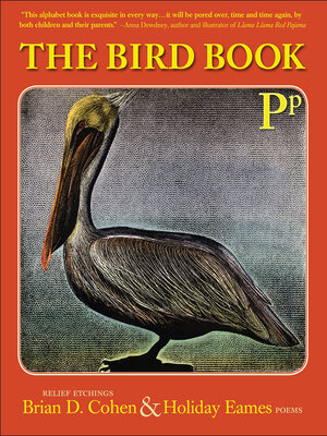 cover image of The Bird Book